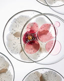 Close-up of flower petals and serum encapsulated in clear liquid within glass petri dishes, symbolizing Audrose®’s microencapsulation technology that enhances hydration, protection, and calming benefits for sensitive skin.