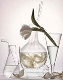 Elegant glass beakers with white flowers in water, symbolizing purity and science- driven skincare innovation of Phyto-Molelecular Skin Science®.